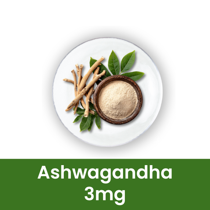 Liver Care Syrup | Ayurvedic Herbal Liver Support | 500 ml