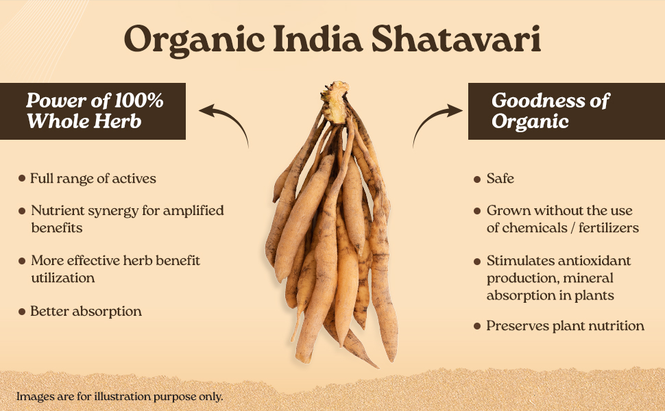 A TATA Product - Organic India Shatavari - 60 Veg Capsules, With Plant Based Estrogens, Helps Boosts Health and Vitality For Women Of All Ages & Restore Hormonal Balance, GMP & NPOP Certified Organic