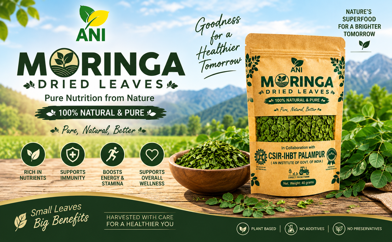 ANI Natural Moringa Dried Leaves 40g | Natural Herbal Leaf – Energy, Detox & Wellness Support | In Association with CSIR -IHBT, Palampur (An Institute of Govt. of India)