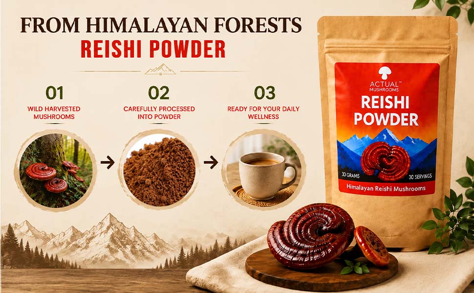 Himalayan Reishi Mushroom Powder, 30 gms
