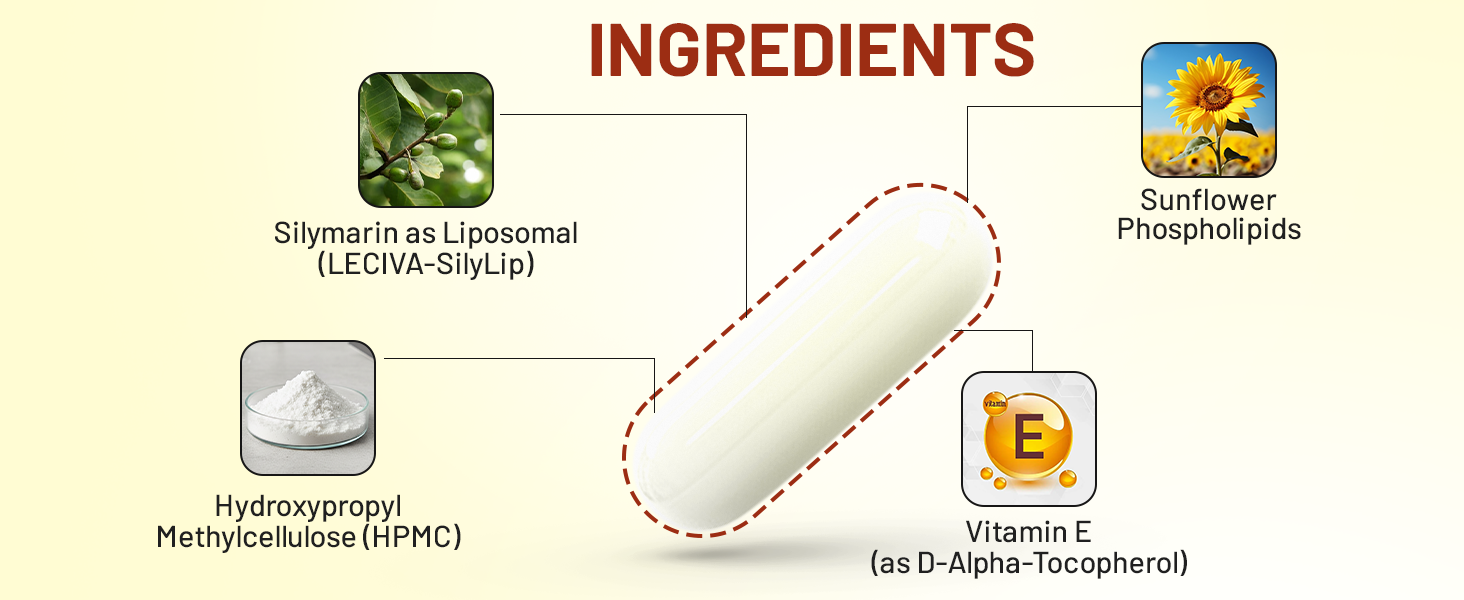 Milk Thistle Supplement | Liposomal Silymarin 800mg Per Day | Vegetarian Liver Support Capsules with Sunflower Phospholipids for Adults 50+ | 60 Capsules, 30-Day Supply