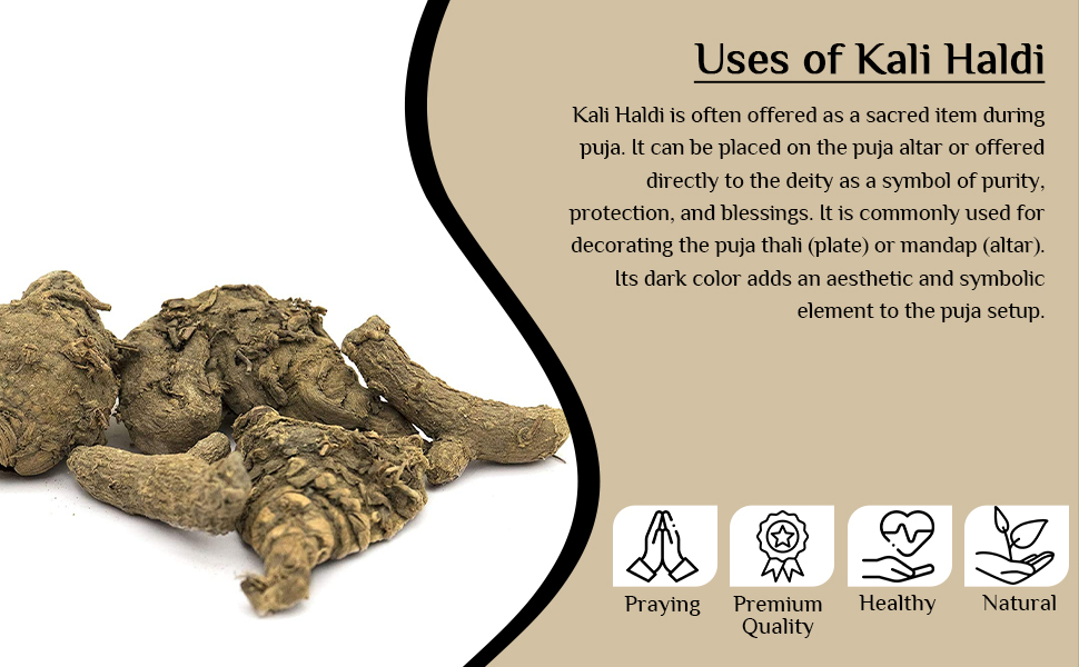 GABHISMEEN Kali Haldi Or Black Turmeric Or Narkachur Or Narkachoor Raw And Natural (50 Gram)
