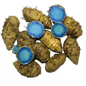 GABHISMEEN Kali Haldi Or Black Turmeric Or Narkachur Or Narkachoor Raw And Natural (50 Gram)