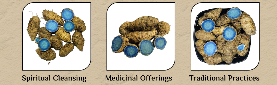 GABHISMEEN Kali Haldi Or Black Turmeric Or Narkachur Or Narkachoor Raw And Natural (50 Gram)