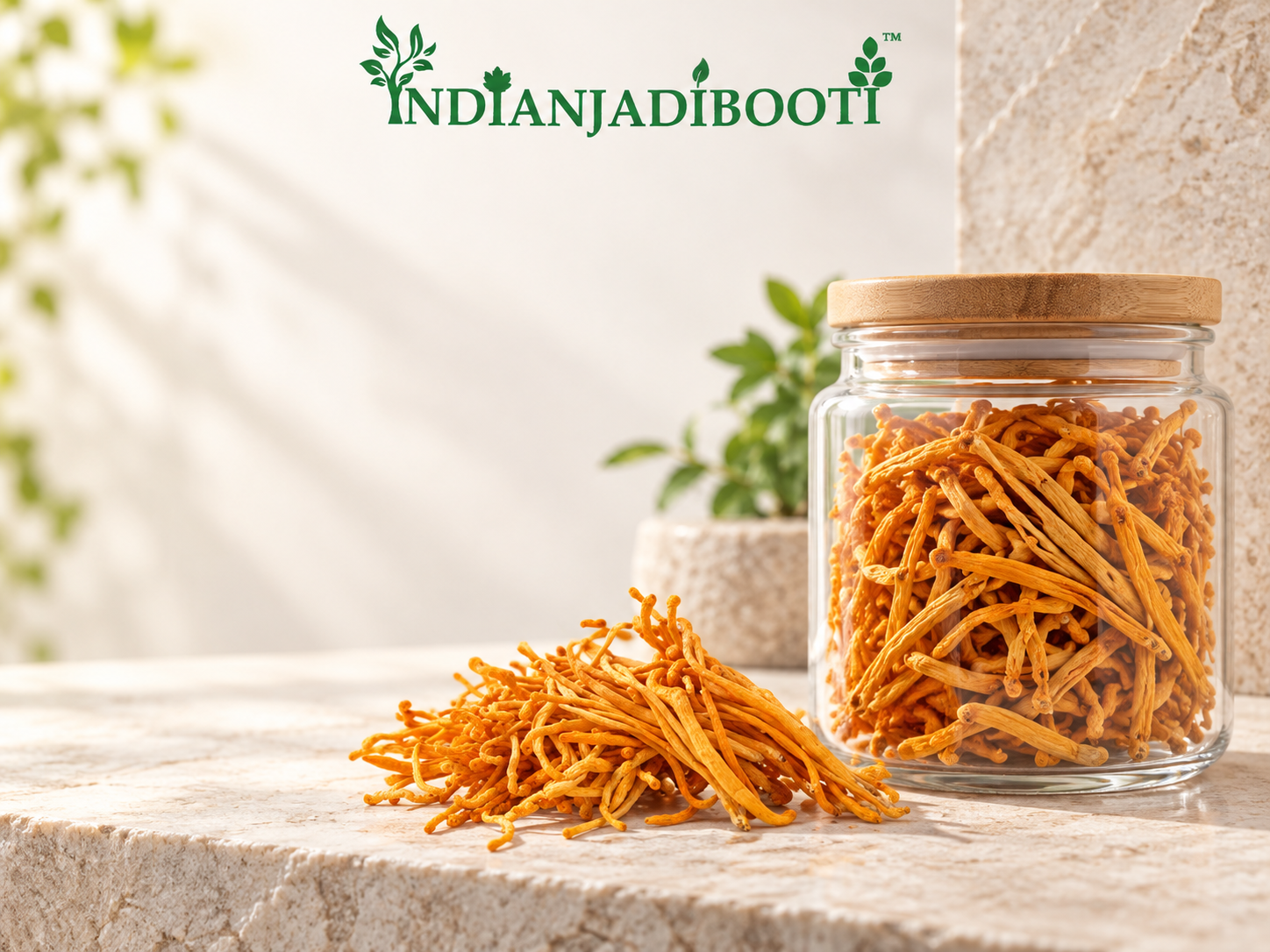 IndianJadiBooti Cordyceps Militaris (Kida Jadi) | Premium Dried Fruiting Bodies | "Himalayan Gold" for Extreme Energy (ATP), Stamina & Lung Health | High Cordycepin Superfood | 100% Vegan & Lab-Cultured (Instant Powder - 15g)