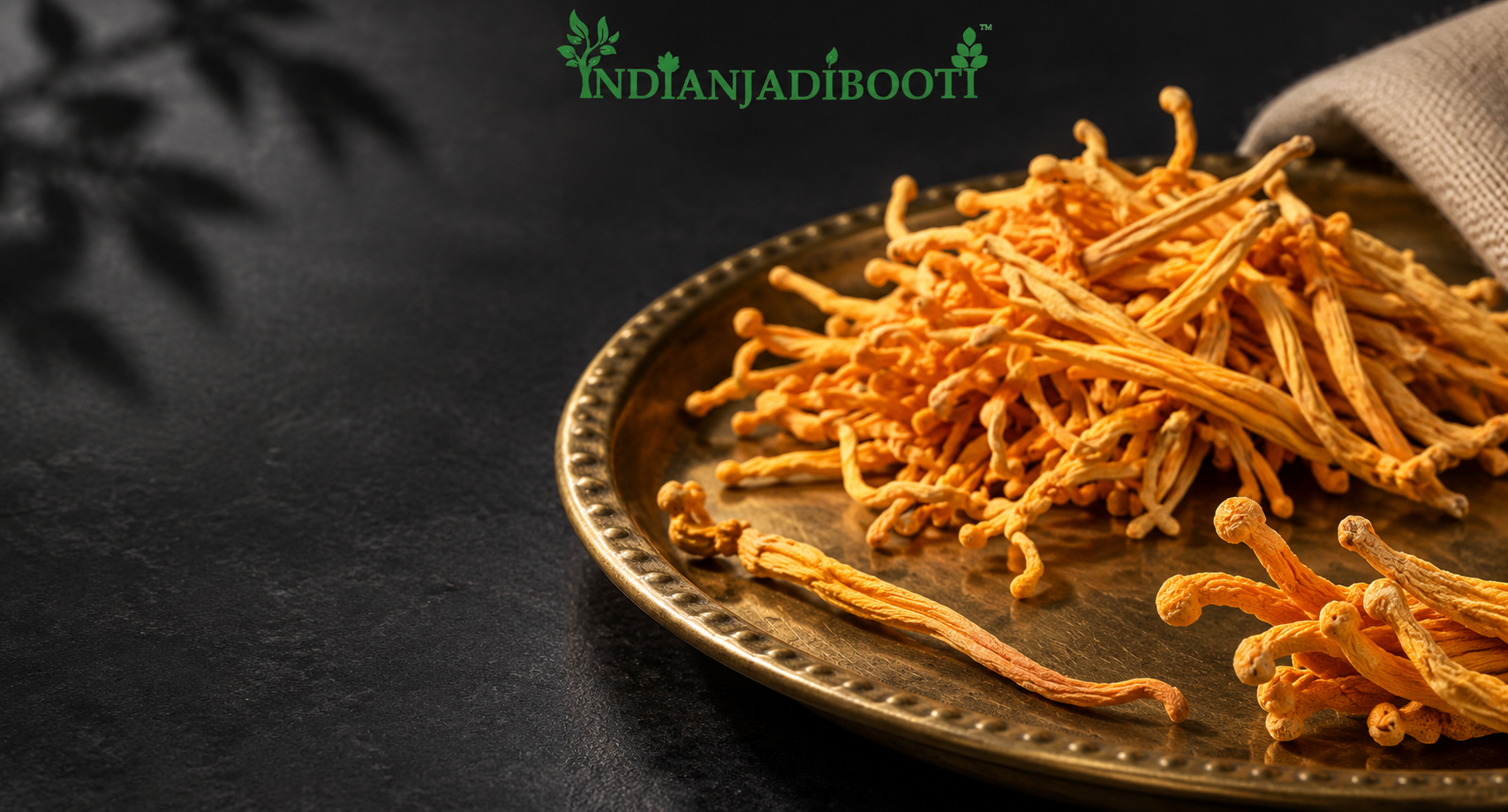 IndianJadiBooti Cordyceps Militaris (Kida Jadi) | Premium Dried Fruiting Bodies | "Himalayan Gold" for Extreme Energy (ATP), Stamina & Lung Health | High Cordycepin Superfood | 100% Vegan & Lab-Cultured (Instant Powder - 15g)