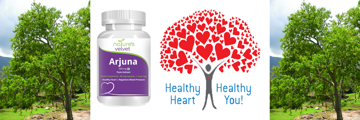 Natures Velvet Lifecare 500 mg Arjuna Pure Extract Tablet - 60 Capsules (Pack of 1)