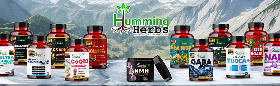 Humming Herbs Berberine Pure Extract 1000mg |Immune Support, Gut Health, Digestive Wellness, Metabolic Balance & Antioxidant Protection | Vegan, Non-GMO, High Bioavailable Form | 60 Capsules