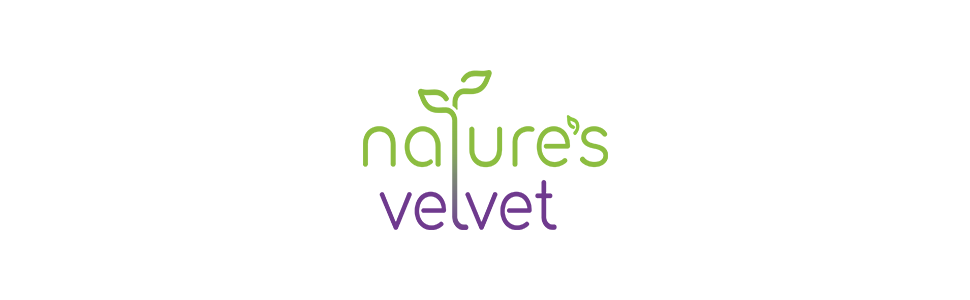 Natures Velvet Lifecare Ginkgo Biloba Extract 80mg, 60 Capsules - Pack of 1