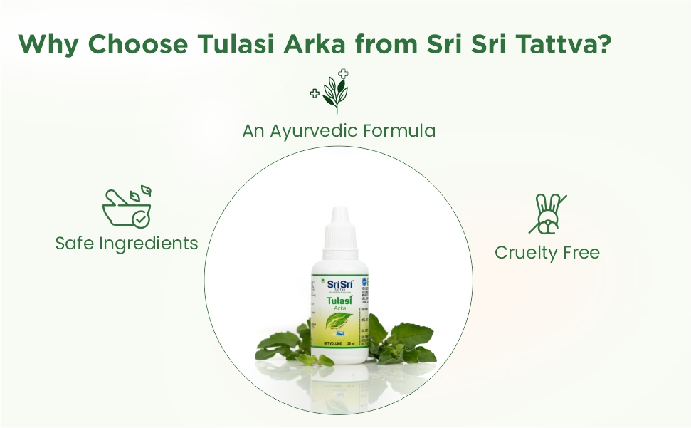 Sri Sri TATTVA shuddhta ka naam Tulasi Arka - Anti-Viral Drop - Natural Immunity Booster For Adults - 30Ml (Pack Of 3)