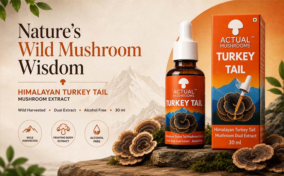 Himalayan Turkey Tail Mushroom Extract, 30 ml