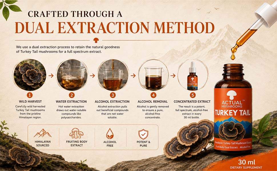Himalayan Turkey Tail Mushroom Extract, 30 ml