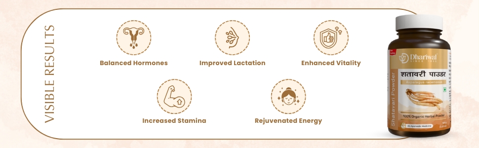 Dhariwal Ayurveda Organic Shatavari Powder 100 G | 100% Pure & Ayurvedic | General Well-Being Supplement | Asparagus Racemosus Root
