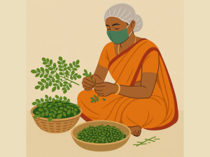 Indiana Organic Moringa Whole Leaves Dry Leaf, Dried Drumstick Tree Leaves, Natural Super-Food – Essential Nutrition Superfood, Helps Naturally Boost Energy Levels, Improves Stamina & Vitality, Rich In Vitamins & Minerals - 35 Gram