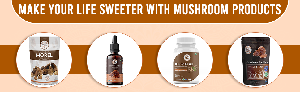 Ganoderma Red Reishi Mushroom Powder Extract 50g - Reishi Mushroom Extract for Immune Support and overall wellness
