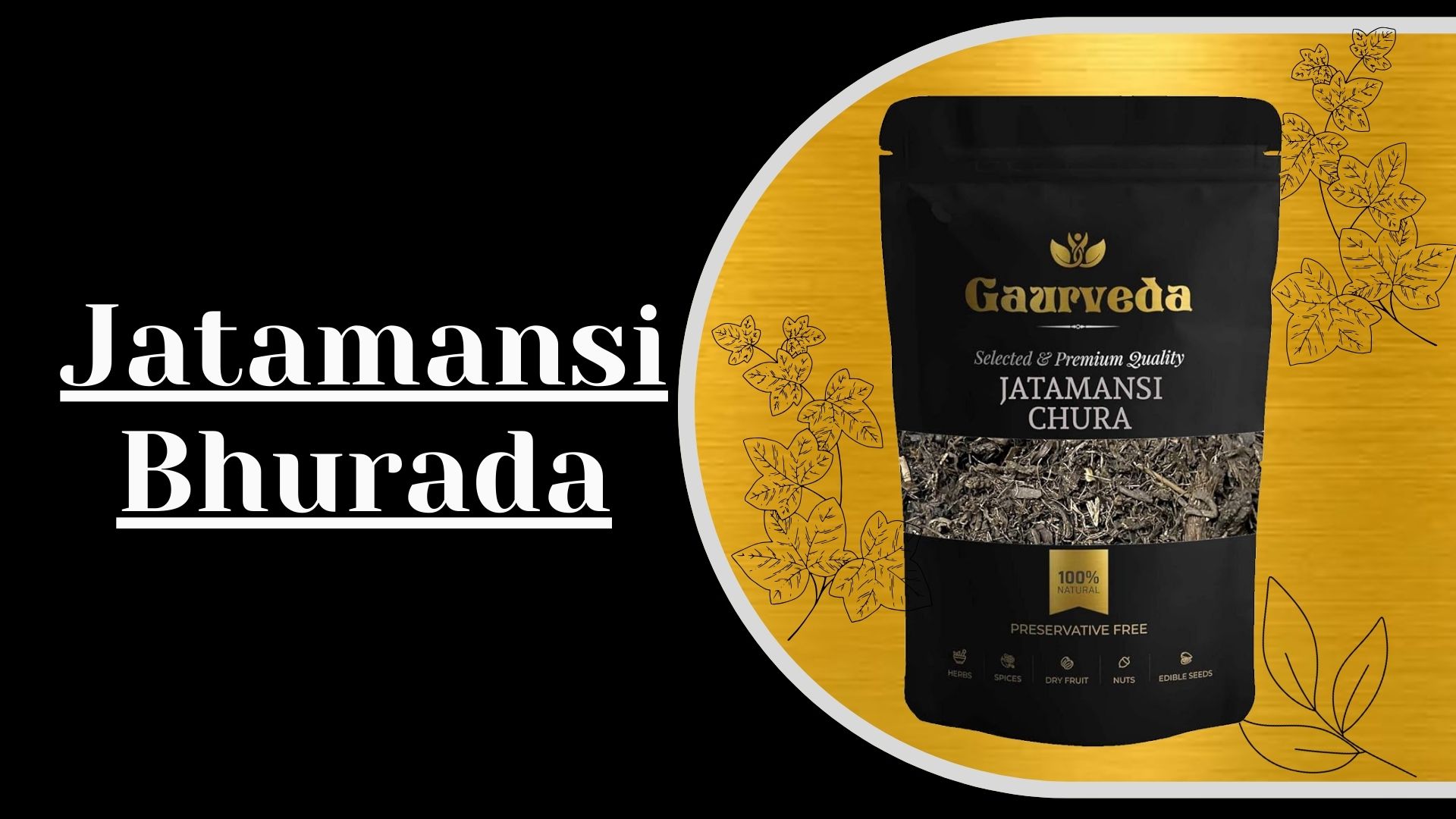 Jatamansi Root Bhurada (150 Gm) - Balchad Chura - Jatamasi Jadd Chura - Jatila Chura - Musk Root Chura - Pure & Natural