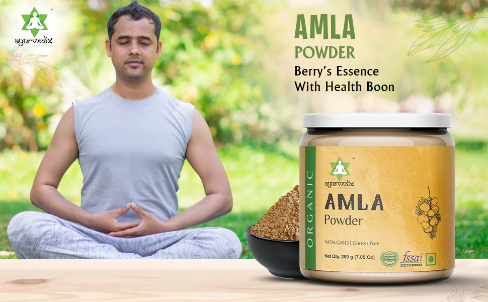 Ayurvedix Organic Amla Powder for Hair Growth & Skin Care (200g) | 100% Pure, De-Seeded, FSSAI & Organic Certified | Ideal for Hair Pack, Eating & Drinking | No Preservatives