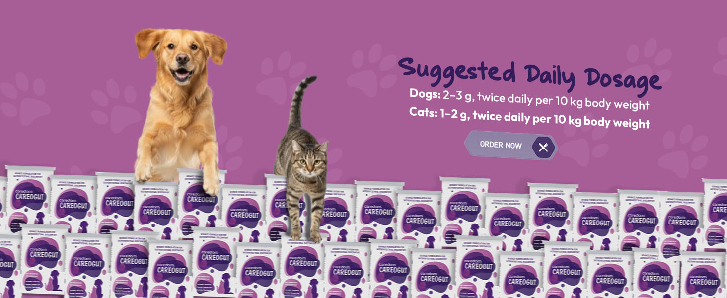 CAREOGUT Prebiotics & Probiotics for Dogs and Cats | Digestive Enzyme Blend | Probiotics Supplement for Gut Health | Cat & Dog Supplement for Daily Gut Support | Powder | 100 grm