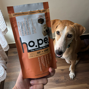 Hope Pre & Probiotics Supplement for Dogs - 30 Chicken hoplets | Paw Licking & Scratching Relief | Tasty Chews with Hing for Absolute Gut Health | Coldpressed| Air-Dried | Honest Pet Co
