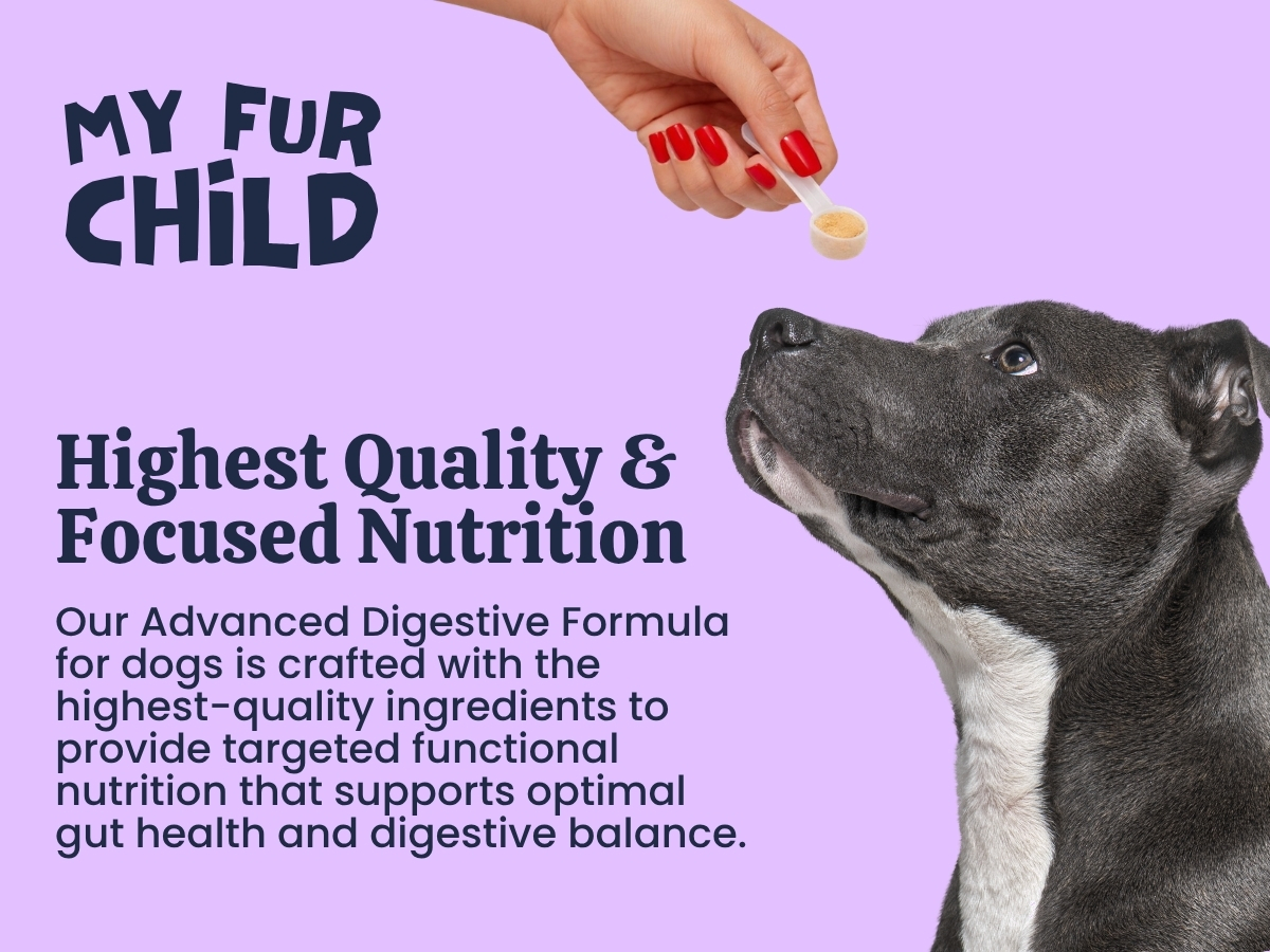Advanced Digestive Support for Dogs | 3.2 Billion CFU 9-Strain Probiotics, Digestive Enzymes, Pumpkin & Prebiotics | Supports Gut Health, Digestion & Stool Quality | Lasts Up to 60 Days