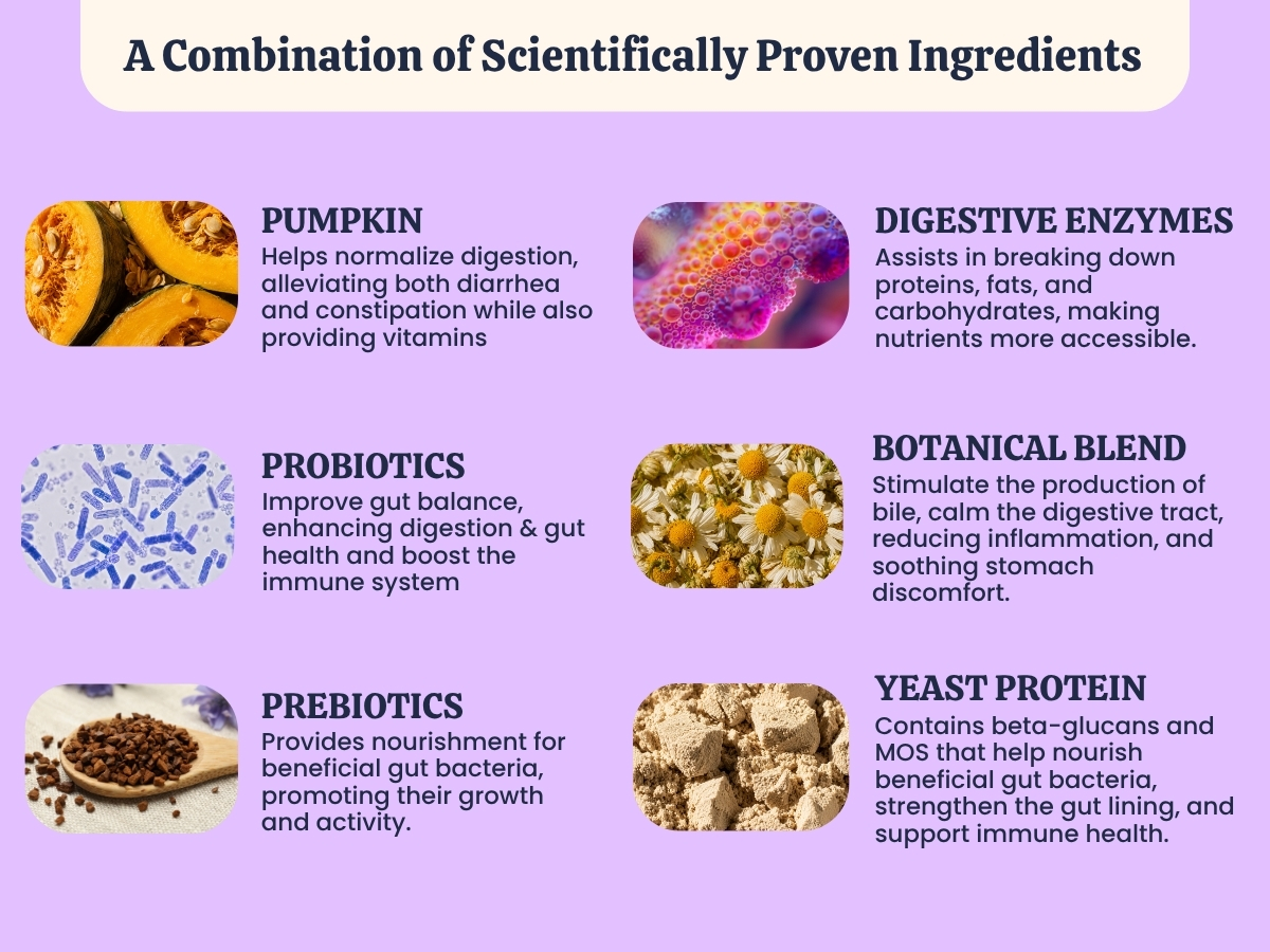 Advanced Digestive Support for Dogs | 3.2 Billion CFU 9-Strain Probiotics, Digestive Enzymes, Pumpkin & Prebiotics | Supports Gut Health, Digestion & Stool Quality | Lasts Up to 60 Days