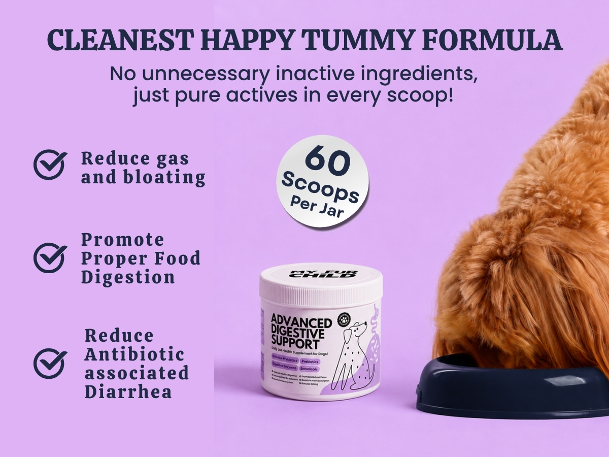 Advanced Digestive Support for Dogs | 3.2 Billion CFU 9-Strain Probiotics, Digestive Enzymes, Pumpkin & Prebiotics | Supports Gut Health, Digestion & Stool Quality | Lasts Up to 60 Days