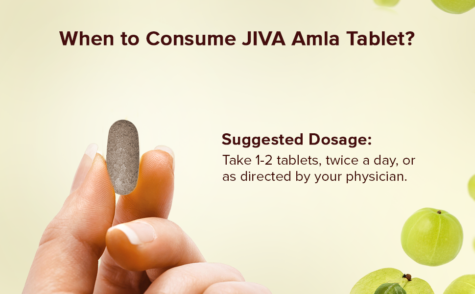 Jiva Amla Tablets 500mg 360 Tablet | 100% Pure Herbs Used, Rich In Vitamin C | Protects Against Free Radicals | Rich In Antioxidants | Improves Digestion | Enhances Vision -120 Tablet (Pack of 3)