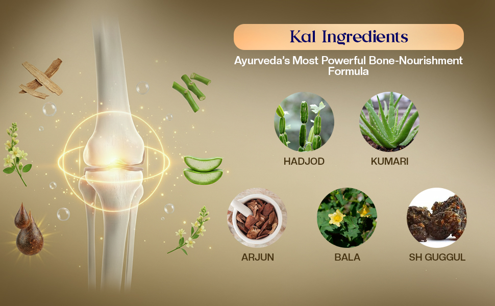 L’Amar KAL Ayurvedic Tablets for Bone Health – 60 Tablets (Pack of 3) | Natural Calcium Supplement for Bone Strength, Post-Menopausal Support, BMD & Joint Care