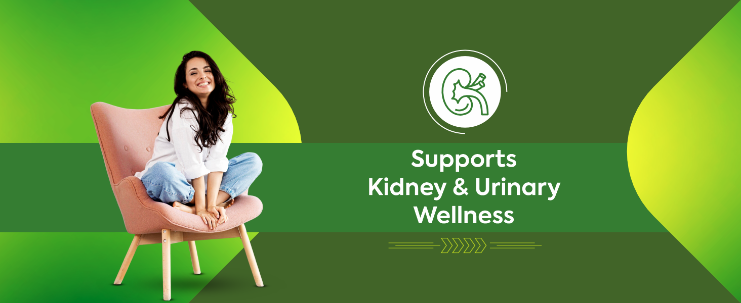 Jeena Sikho Pathri Shuddhi Kit | Ayurvedic Kidney Stone Care | Natural Support for Kidney & Urinary Health | Helps Flush Toxins, Dissolve Stones & Promote Detox | Sugar-Free Syrup 250ml + 24 Tablets