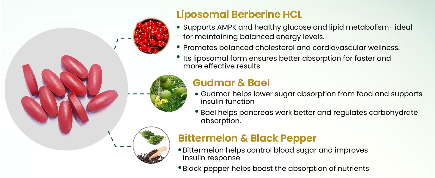 Vlado's Himalayan Organics Liposomal Berberine HCL+ 1500mg+ with Piperine, Chromium , Bitter Melon, Bael, Gudmar & Vitamin B12 |For Metabolism, Hormonal Balance, Healthy Blood Sugar & Cholesterol Levels | 60 Veg Tablets