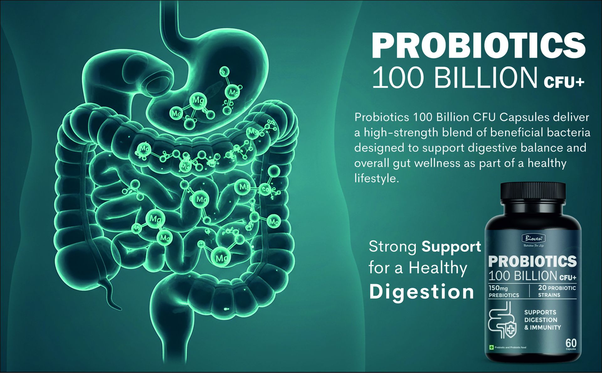 Probiotics 100 Billion+ CFU 60 Veg Capsules | High Potency Multi Strain Probiotic for Gut Health, Digestive Balance & Immunity Support