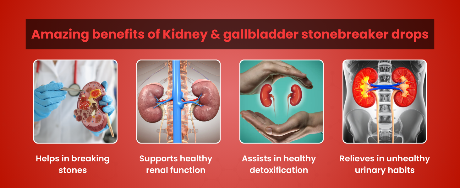 HEALEO Kidney & Gallbladder Stone Braker | Chanca Piedra, ACV, Ginger, Dandelion Root | Supports Kidney & Gallbladder Health | 50ml - 25 Servings