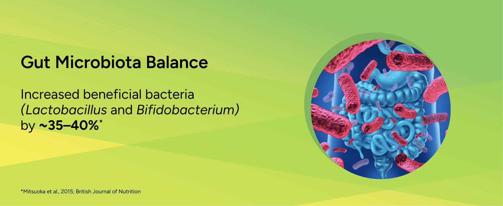 Tata 1mg Probiotics 30 Billion CFUs+ Capsules with Prebiotic Fiber- 30 Count | Gut Health & Digestion Support Supplement | For Men & Women