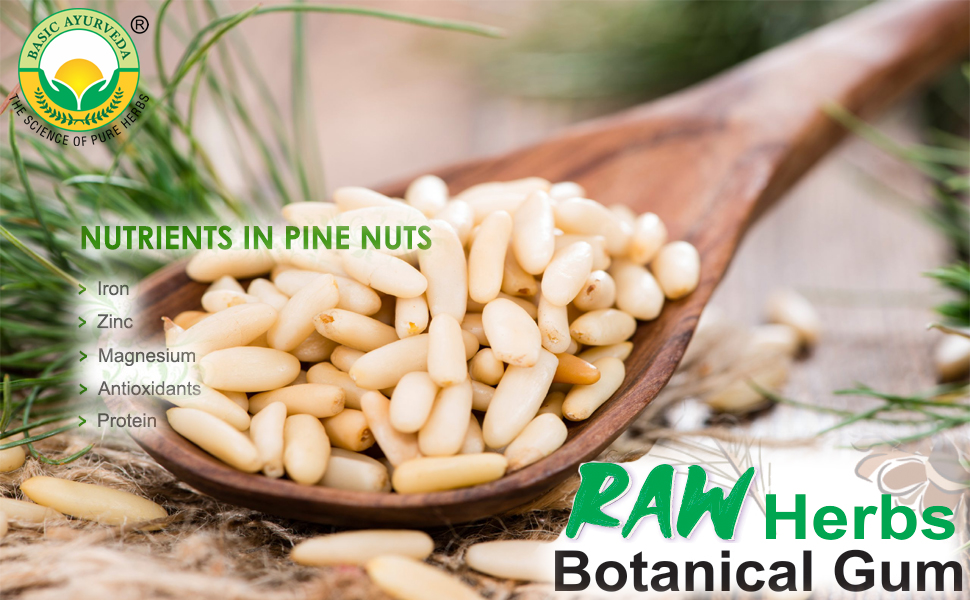 Basic Ayurveda Gond Chilgoza Pine Nut Gum – 60g Each Pack of 2 | Ayurvedic Herbal Resin for Energy, Strength & Wellness Support