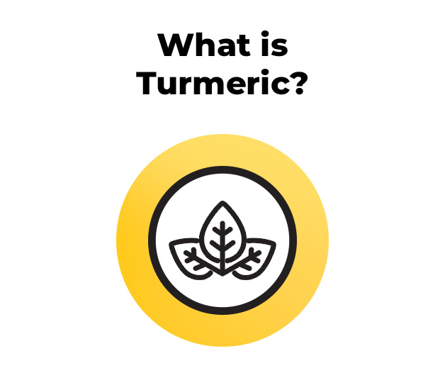Nature Made Turmeric Curcumin 500 mg, Herbal Supplements, 120 Capsules