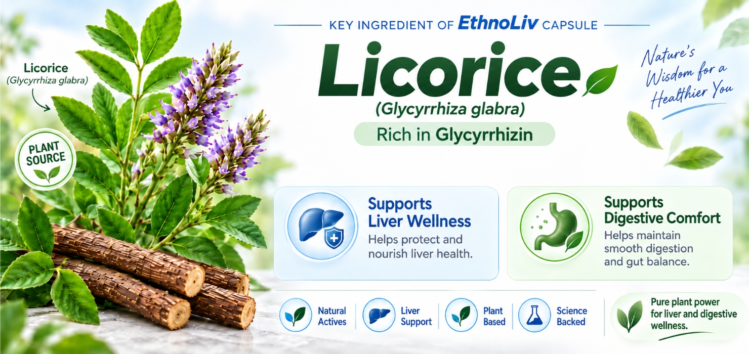 EthnoLiv – Ayurvedic Liver Detox & Metabolism Support Capsules | Fatty Liver Support, Detox & Cleanse | Improves Health, Digestion & Metabolism | Herbal Supplement with Ayurvedic Herbs | 120 Capsules, Pack of 4