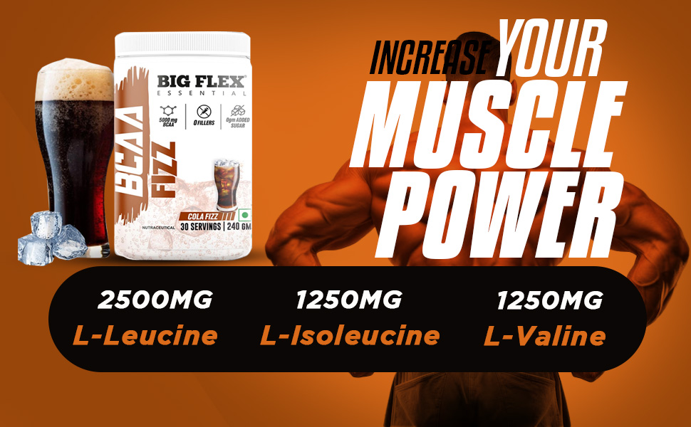Bigflex Essential BCAA powder, Cola [ 30 Servings, Pack of 240Gm ] | 2500mg L-Leucine | 1250mg L-Isoleucine & 1250mg L-Valine For Muscle Recovery & Endurance - Pre/Post Workout & Intra Workout Supplement
