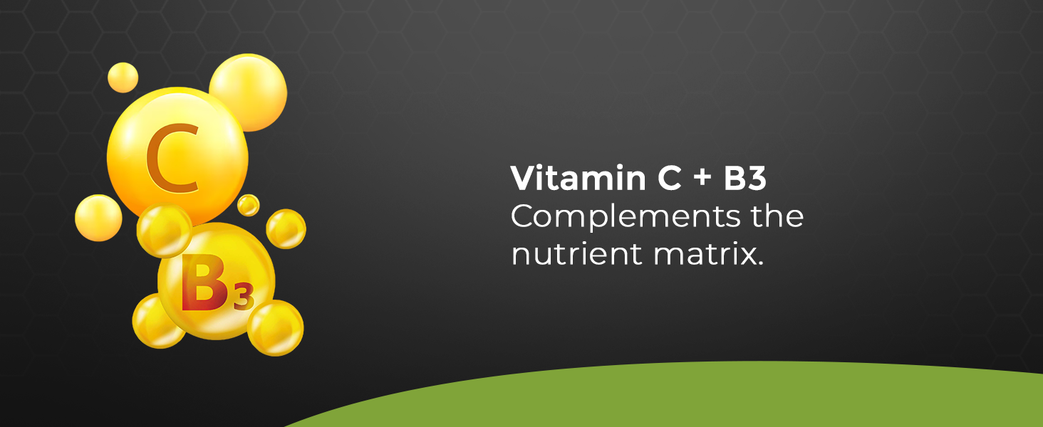CollagenXpert Marine Collagen Powder with L-Glutathione Hyaluronic Acid CoQ10 Vitamins C B3 Orange 200 g 20 Servings Skin Hair Nail Beauty Anti Aging Hydration Glow Support Supplement Drink
