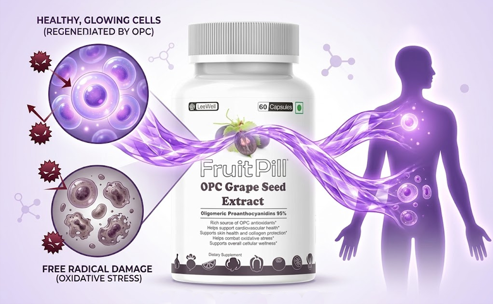 (LeeWell) OPC Grape Seed Extract 500mg with 95% Oligomeric Proanthocyanidins Supplement, Support Lower Blood Pressure & Blood Flow circulation -60 Capsules