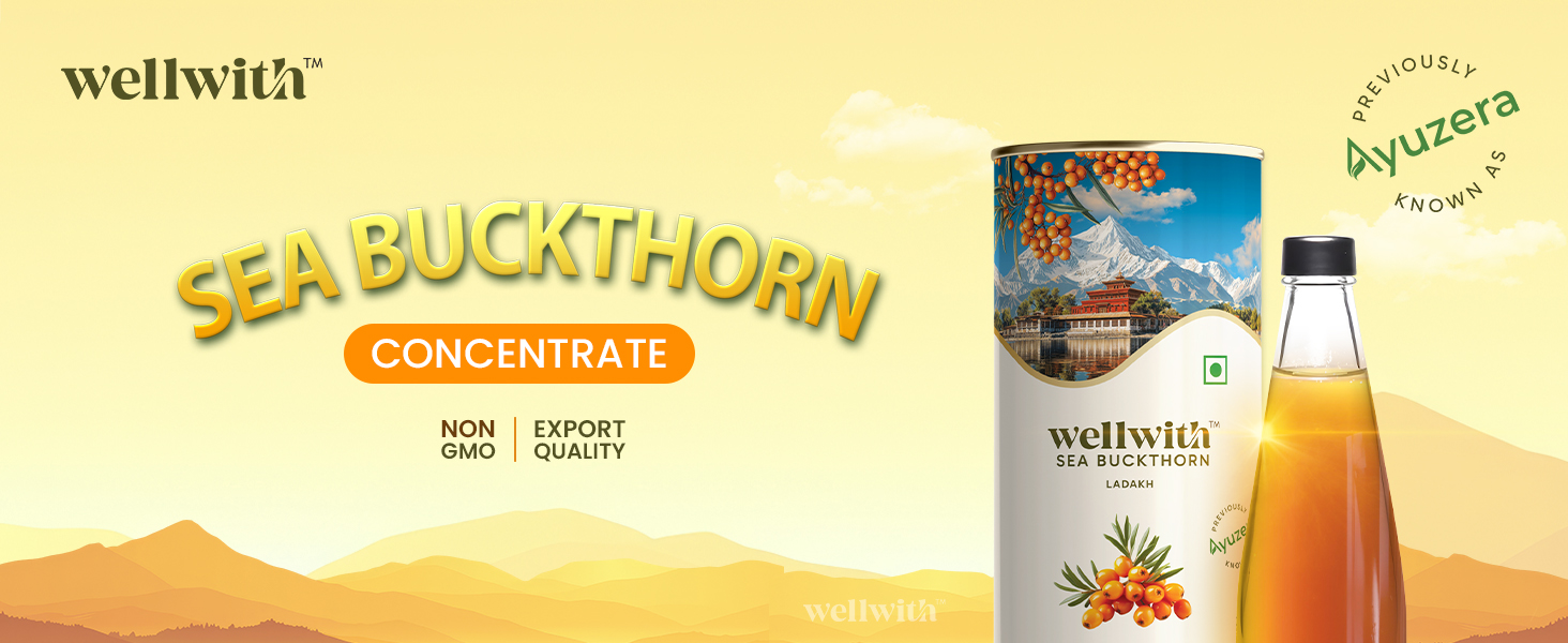 Wellwith by Ayuzera Himalayan Sea Buckthorn Berry Pulp 300ml | Plant Based Vegan Omega 3, 6, 7 & 9 | No Fish Oil | Natural & Organic | Upto 50 Glass Juice | Antioxidants & Vitamins (300ml, Pack Of 3)