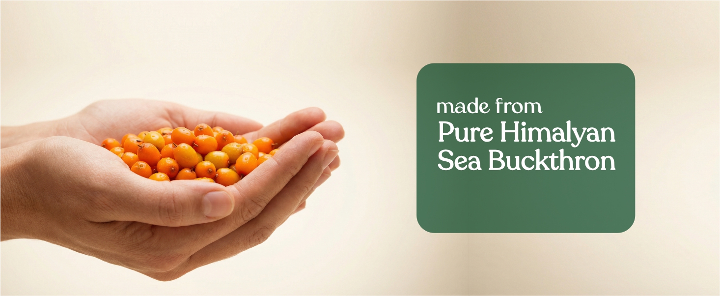 Bhumija Lifesciences Himalayan Sea Buckthorn Pulp Concentrate 500ml Juice