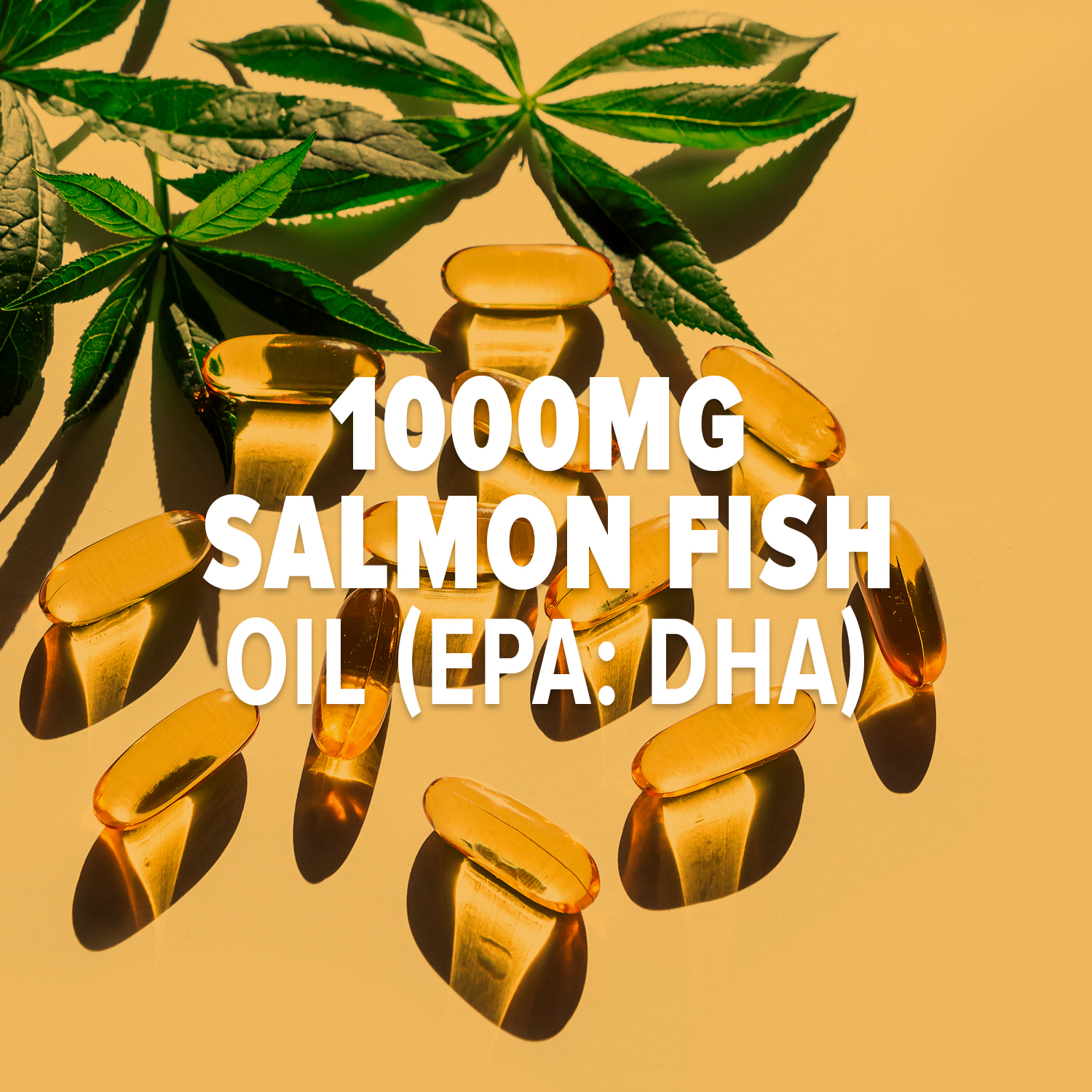 MyFitFuel Salmon Fish Oil, 1000mg (180 EPA 120 DHA), 100 softgels