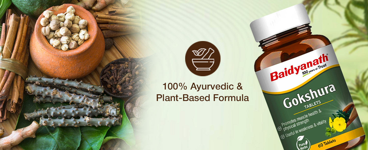 Baidyanath Ayurved Gokshura - 60 Tablets | Supports Strength & Vitality