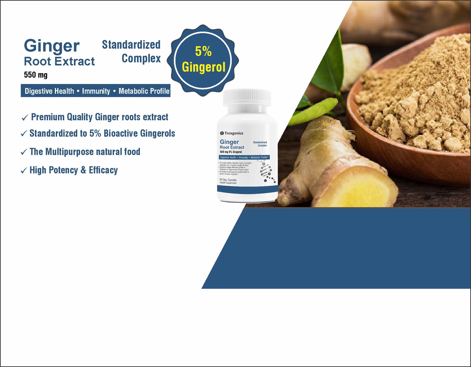 Trexgenics GINGER (Bioactive 5% Gingerol) 550 mg Standardized for Digestive Health, Immunity, Metabolic Profile, Immunity Support (60 Vcaps) (1)