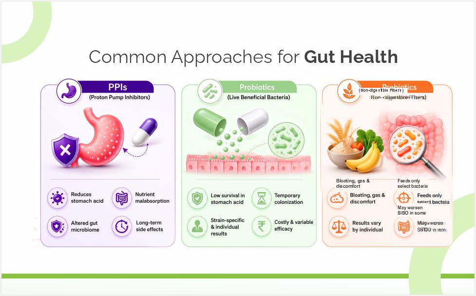 Liv Lively Gut Restore – 100% Natural Probiotic & Gut Health Supplement | Relieves Bloating, Leaky Gut & Indigestion | Digestive Support for Men & Women | 30 Veg Capsules