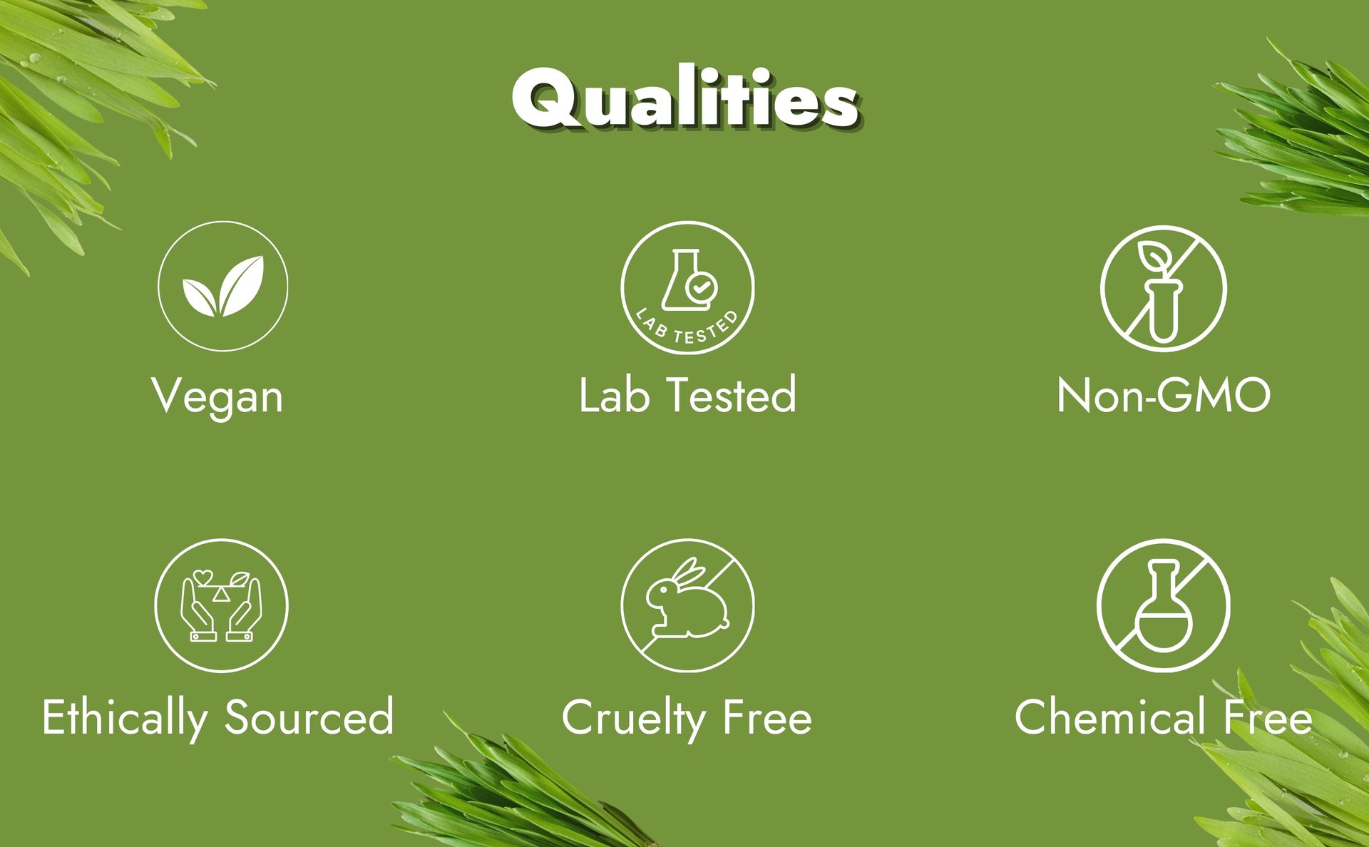 Certified Organic Barley Grass Powder, 200gm | Energy Boost | Skin Health | Weight Management | Barley Grass Green Juice Powder | Super Green Powder(100gm,each pack of 2)