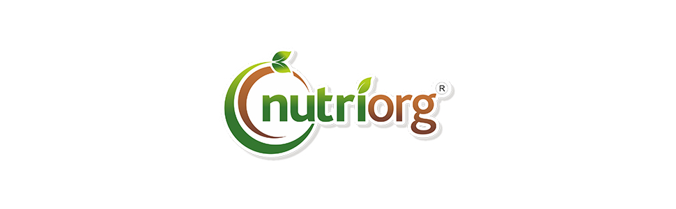 Nutriorg Joint Fit Juice 500ml | Natural Joint Pain Relief with 16 Ayurvedic Herbs | Reduces Swelling, Improves Flexibility & Muscle Strength | For Men & Women