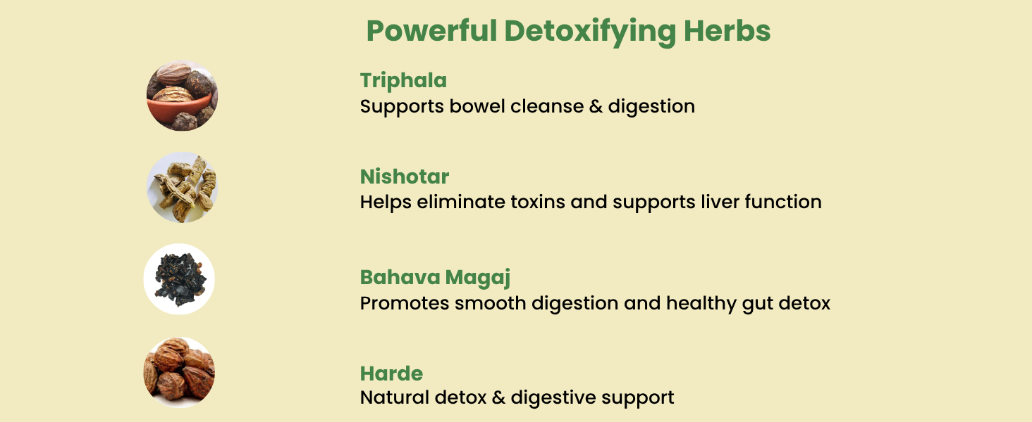 Herbal Hills Detoxhills Herbal Shots, 500 ML Supports Daily Detox & Liver Cleanse | Ayurvedic Herbal Juice For Digestion, Gut Health & Toxin Removal | With Triphala, Aloe Vera & Wheatgrass Pack of 2