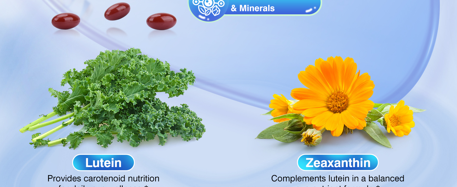 Lutein and Zeaxanthin Supplement - AREDS 2 Plus+ Eye Vitamins 40 mg Lutein & 8 mg Zeaxanthin with Vitamins C, E, Zinc, Omega-3 & CoQ10 - 150 Softgels