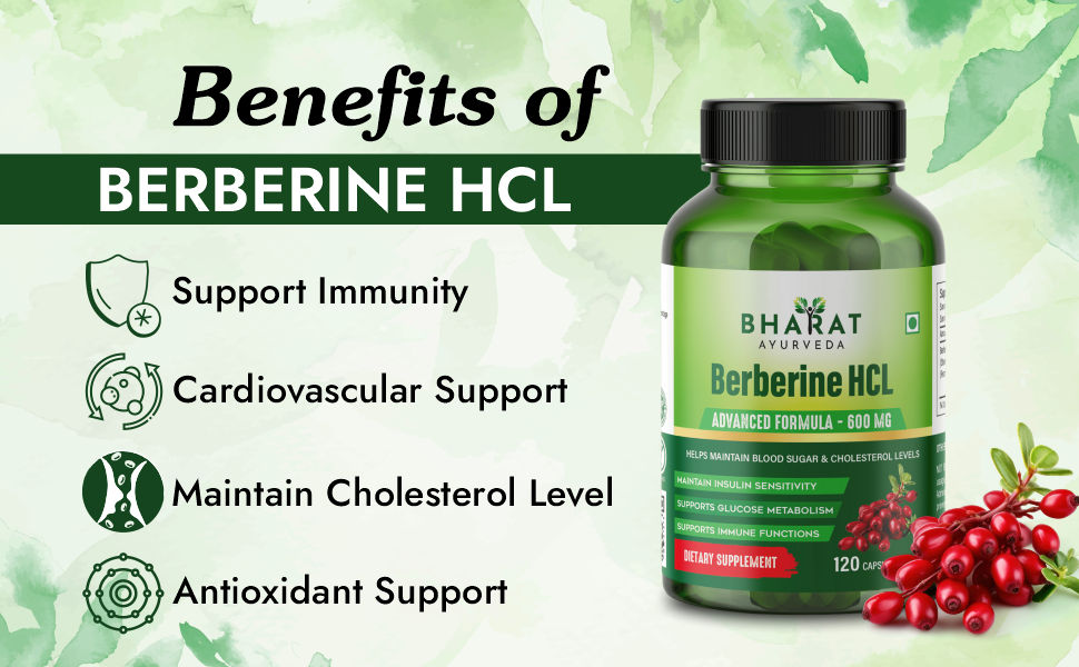 Berberine HCL 600mg Capsules – Herbal Supplement with Barberry Extract for Metabolism, Insulin Sensitivity & Antioxidant Support – Ayurvedic Formula, 120 Capsules